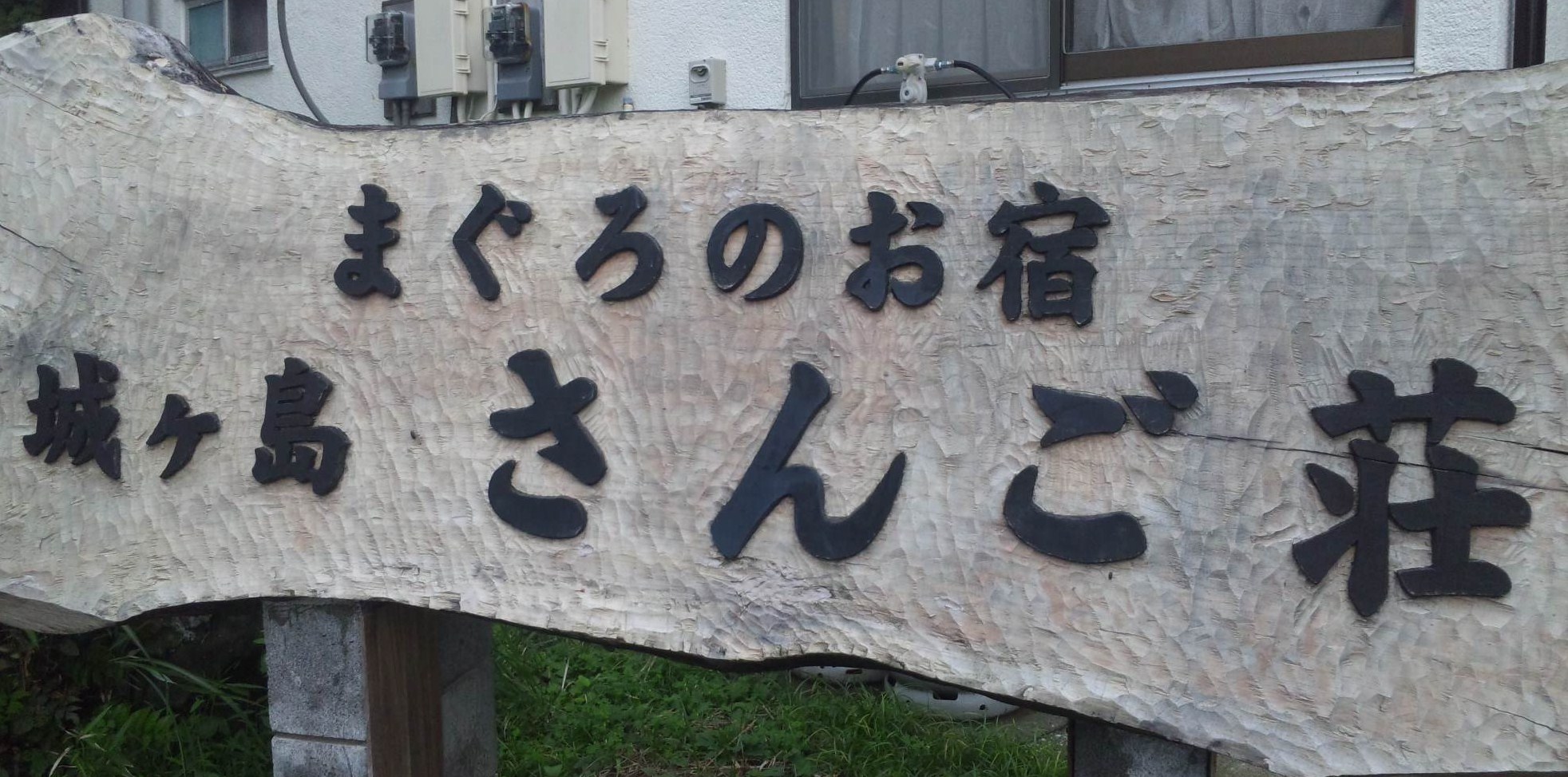 基本情報